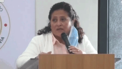 Ministerio de Salud confirma dos nuevos casos de influenza, variante K