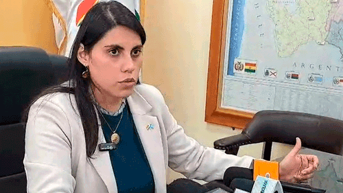 Estado ahorra $us 50 millones en cinco días tras la aplicación del DS 5503, anuncia viceministra