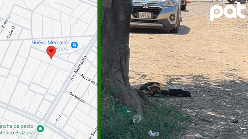 Denuncian envenenamiento de animales en Santa Cruz y exigen acción inmediata