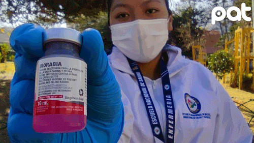 Inicia vacunación antirrábica obligatoria en Sucre con 700 brigadas