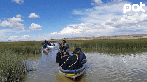 Lago Menor del Titicaca enfrenta grave crisis ambiental urgente