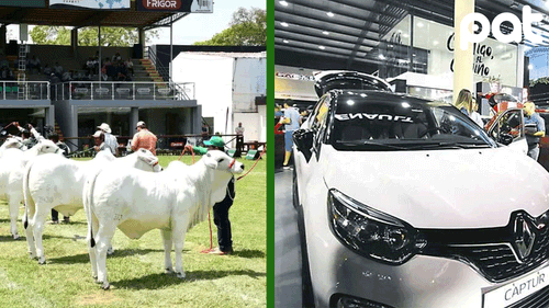 Expocruz 2025 arranca con grandes expectativas de negocio