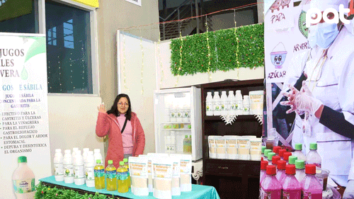 Emprendimientos juveniles en Bolivia lideran registros unipersonales