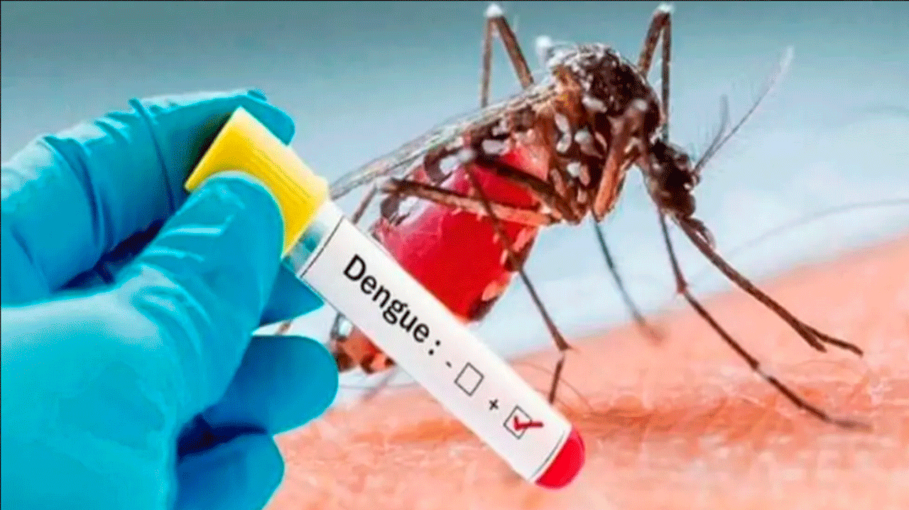 http://www.redpat.tv//uploads/web_dengue_f7321da0b0.gif