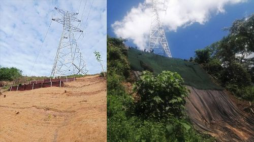 ENDE realiza mantenimiento de líneas eléctricas en Tarija para prevenir cortes en época de lluvia 