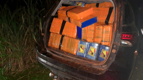  Paraguay incauta 14 toneladas de marihuana en un convoy de nueve vehículos