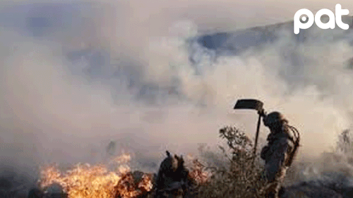 Gobierno despliega Fuerzas Armadas para prevenir incendios forestales