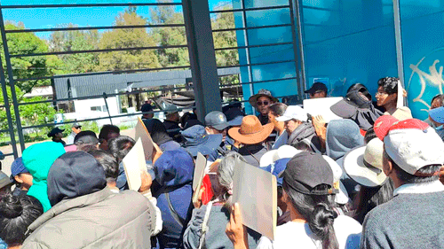Denuncian cobros irregulares en adjudicación de espacios para el Corso de Corsos 