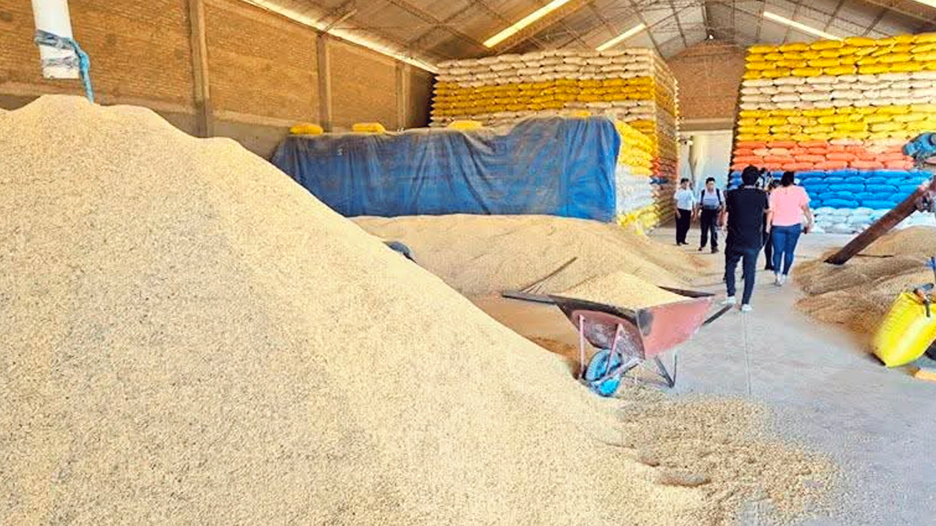 Ingenios arroceros organizan feria para aclarar acusaciones de especulación