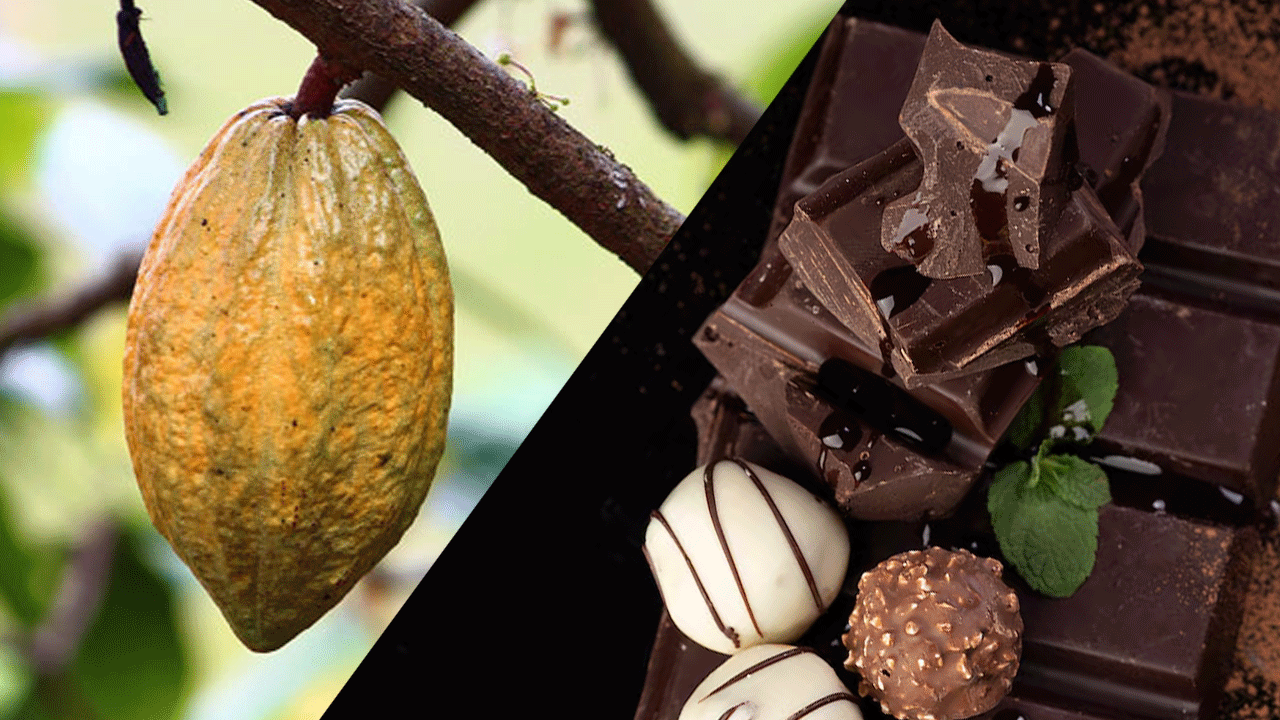 Celebración del Día Internacional del Chocolate: Historia y Beneficios