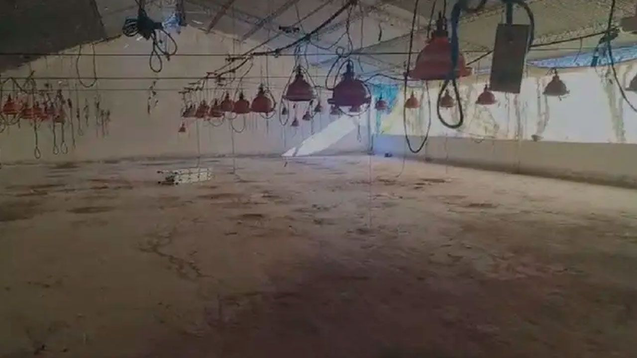 http://www.redpat.tv//uploads/02_0a02704e0a.jpg