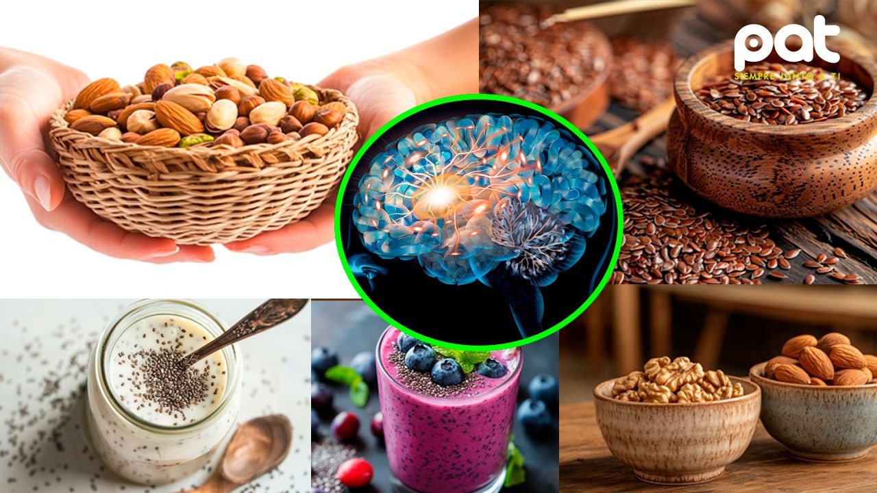http://www.redpat.tv//uploads/Alimentos_clave_para_potenciar_tu_cerebro_7c06d712c5.jpg