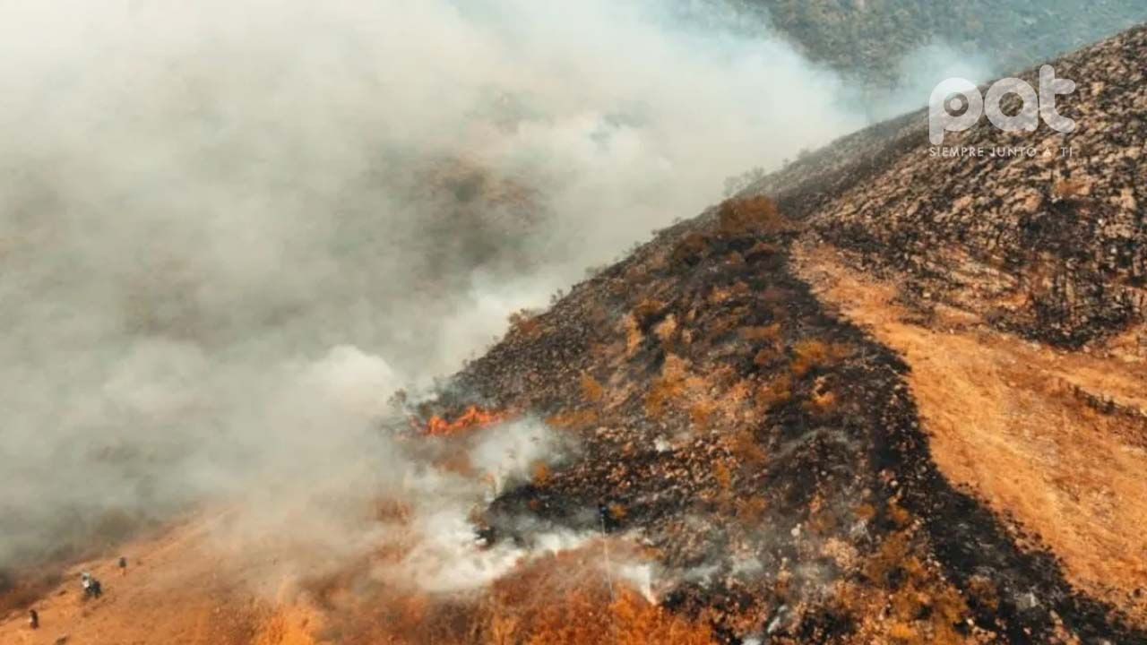 http://www.redpat.tv//uploads/Controlan_mas_del_80_del_incendio_en_Sama_e7b0241d0d.jpg