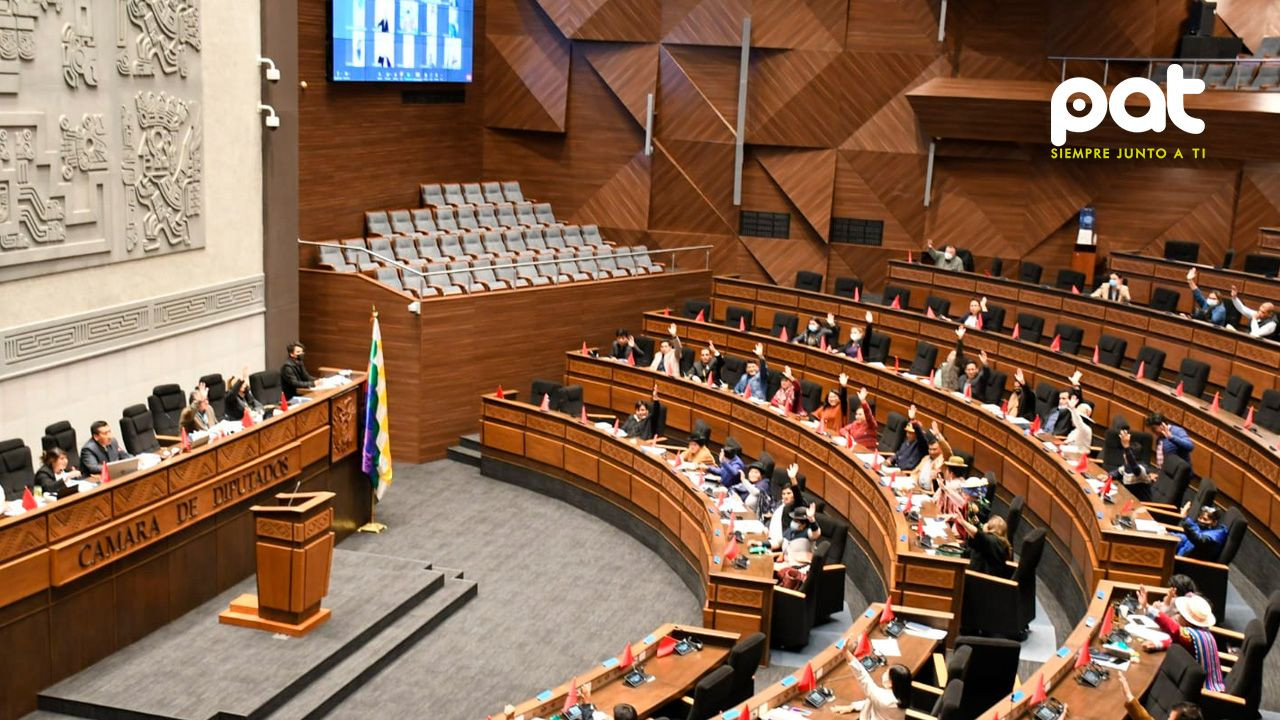 http://www.redpat.tv//uploads/Diputados_aprueban_ley_que_regula_el_ejercicio_profesional_de_los_trabajadores_sociales_c2eb4c7344.jpg