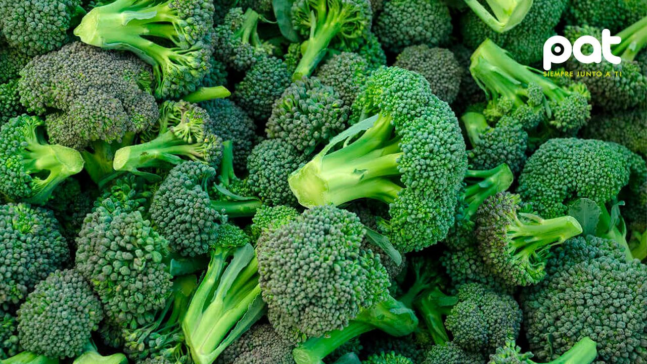 http://www.redpat.tv//uploads/El_brocoli_el_vegetal_que_combate_la_diabetes_y_fortalece_el_corazon_a9c69f7046.jpg