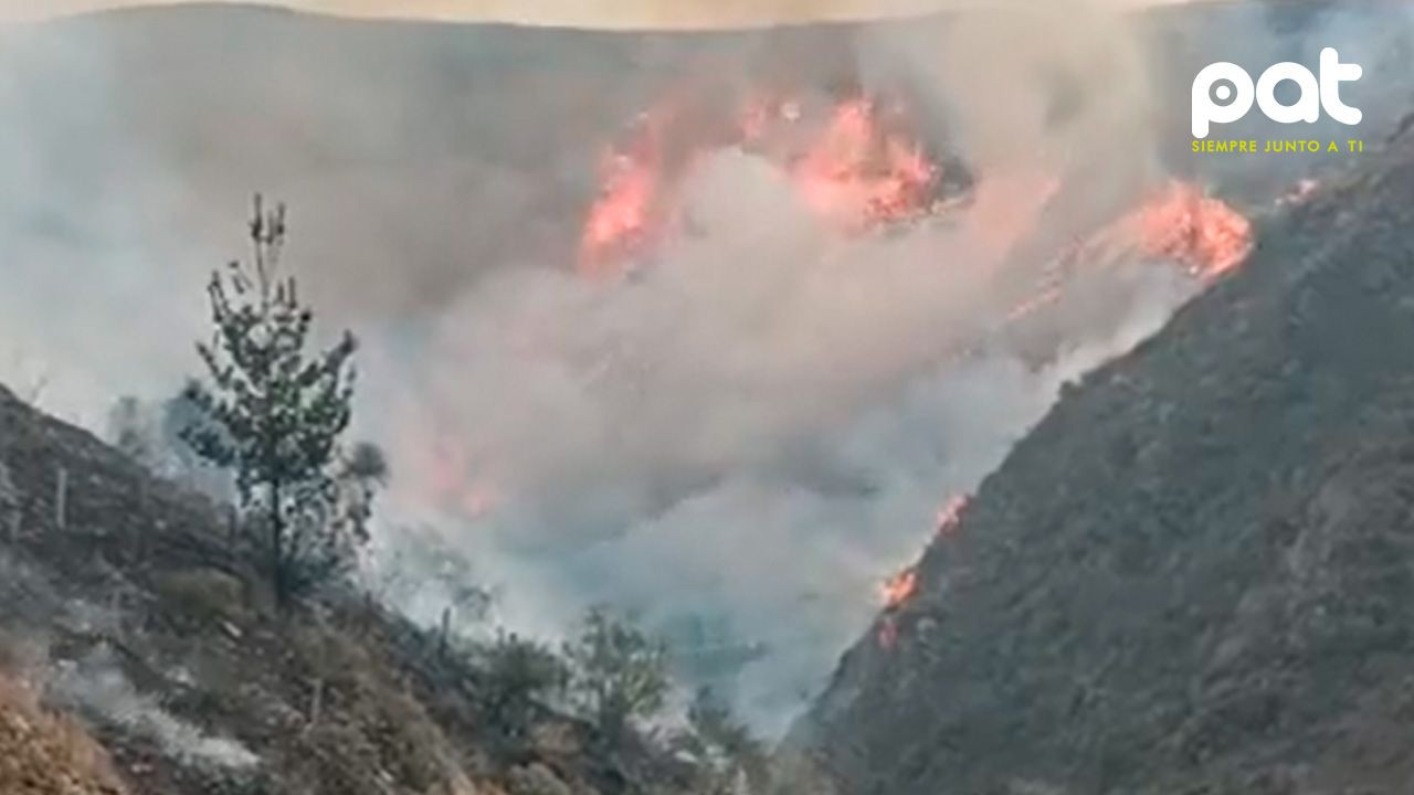 http://www.redpat.tv//uploads/Gobierno_despliega_operativo_con_helicoptero_y_mas_de_100_bomberos_9a4bc9ff24.jpg