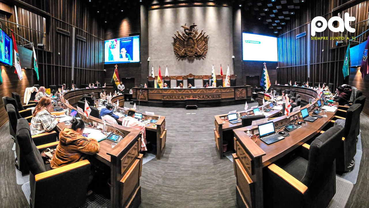 http://www.redpat.tv//uploads/La_Camara_de_Senadores_aprueba_ley_para_implementar_el_TREP_db26833c7b.jpg
