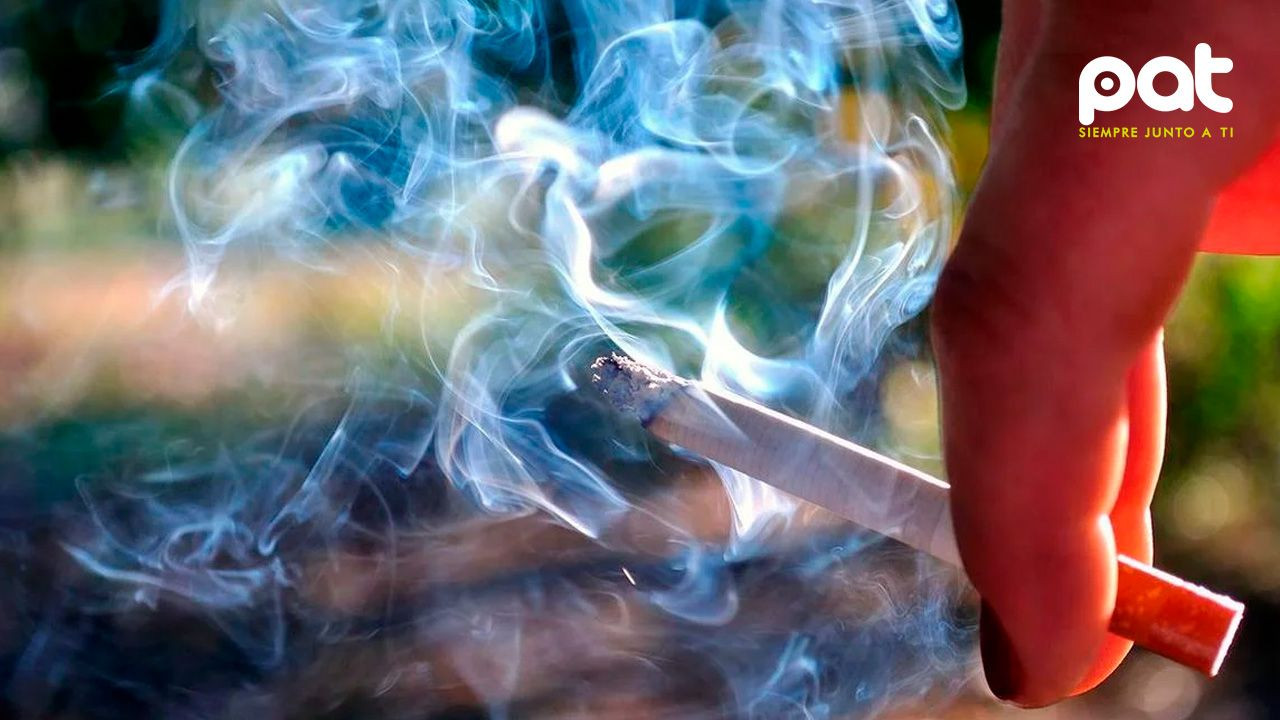 http://www.redpat.tv//uploads/La_medida_busca_proteger_a_los_ninos_del_humo_pasivo_en_playas_6089148ac7.jpg