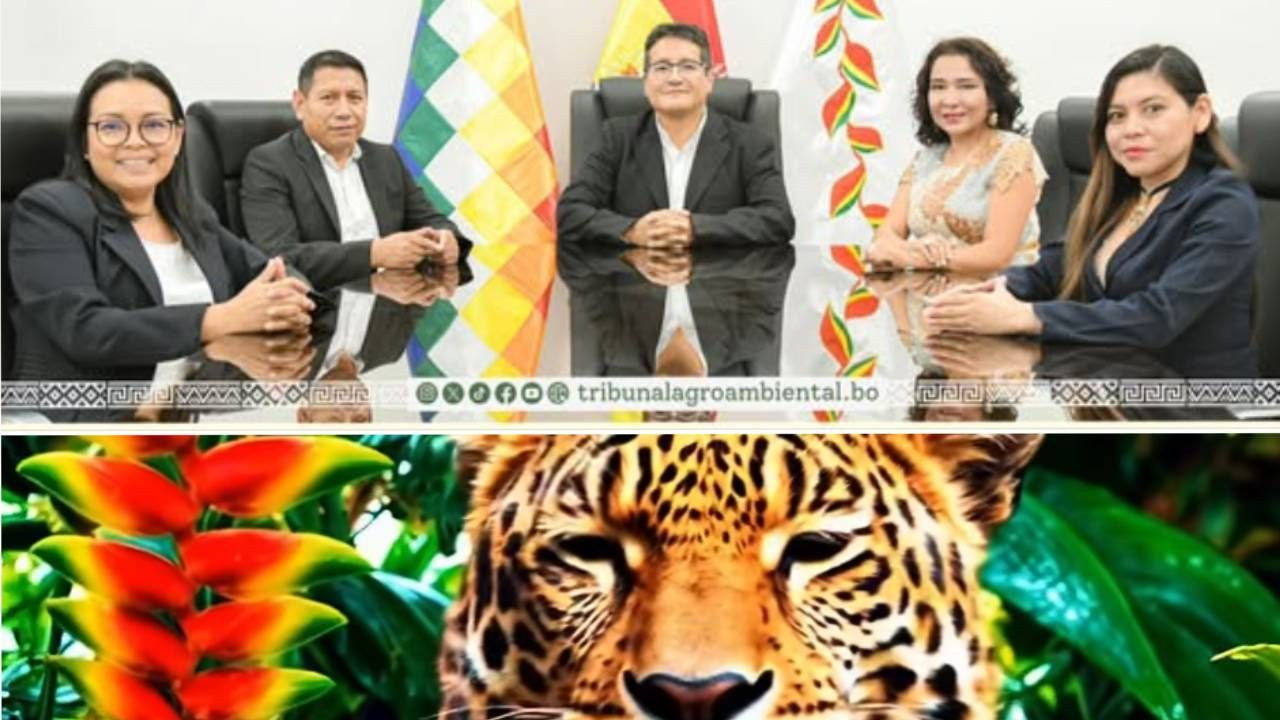 http://www.redpat.tv//uploads/Proyecto_nuevo_2025_03_18_T190627_113_c13756bbc8.jpg