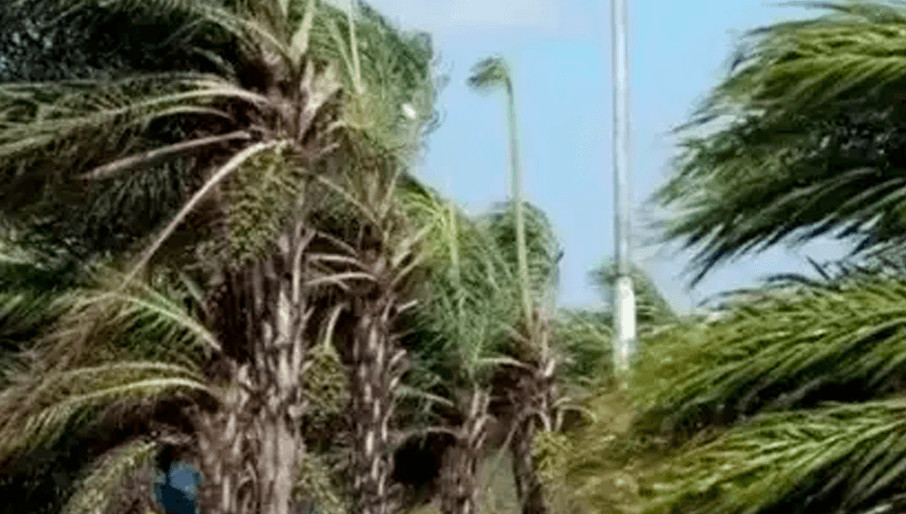 http://www.redpat.tv//uploads/W6_220753d993.png