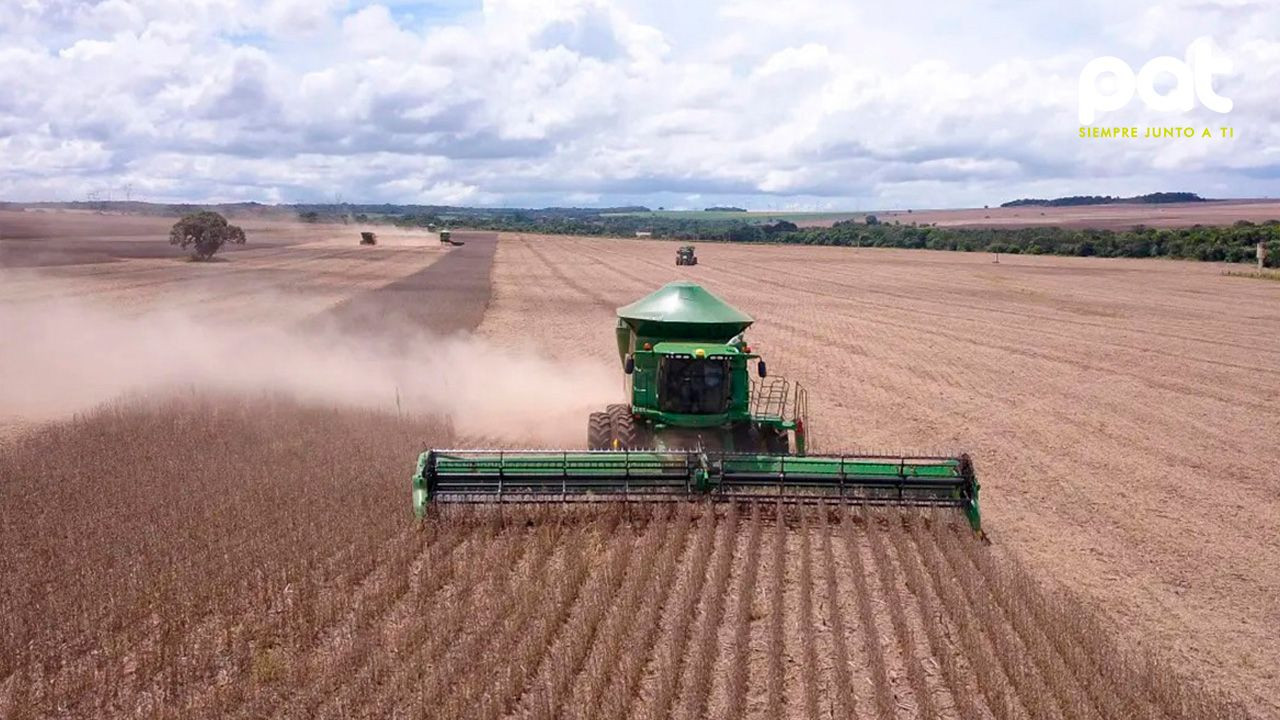 http://www.redpat.tv//uploads/agro_recibio_52_millones_de_litros_de_diesel_y_restan_18_millones_por_entregar_ed44affe82.jpg