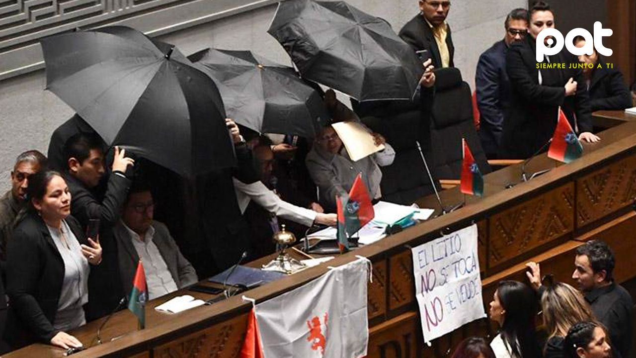http://www.redpat.tv//uploads/diputados_protagonizan_sesion_caotica_por_contrato_de_litio_con_empresa_China_8c7bec862d.jpg