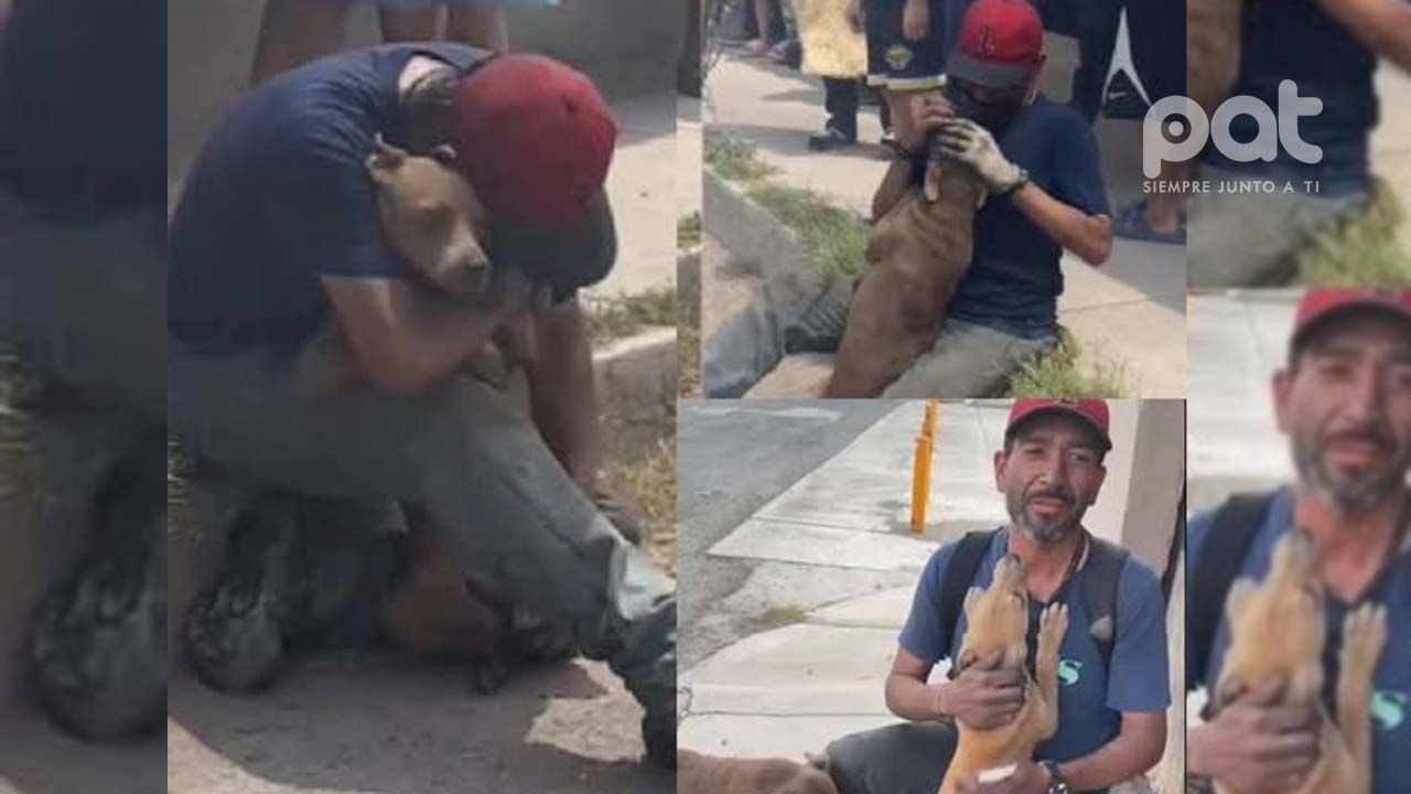 http://www.redpat.tv//uploads/hombre_rompe_en_llanto_al_reencontrarse_con_su_perrita_tras_incendio_a8556466e4.jpg