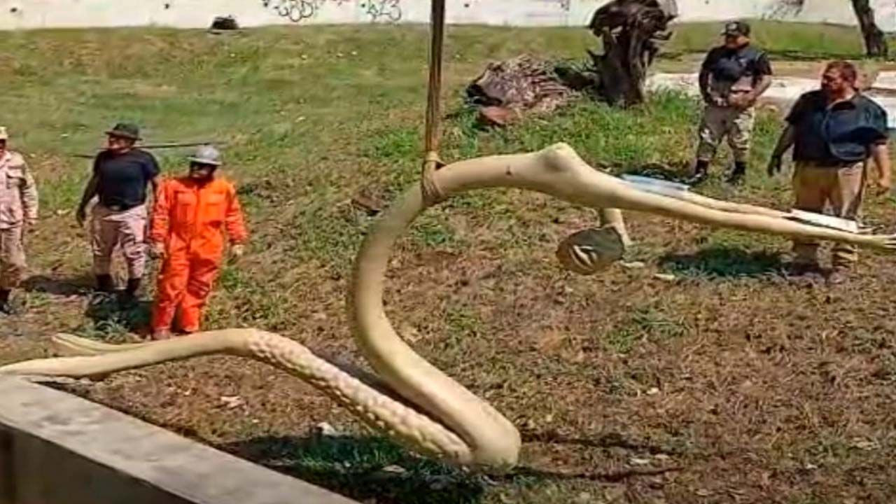 http://www.redpat.tv//uploads/n5_318b8379b1.jpg