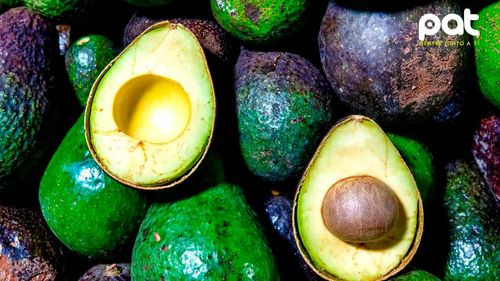 10 beneficios del aguacate para la salud