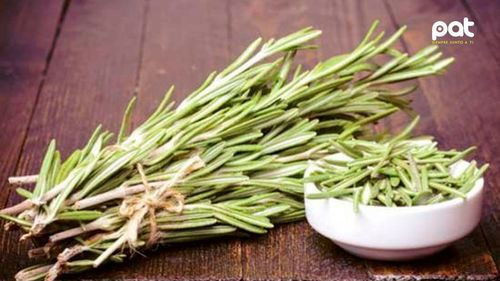 Romero: la planta medicinal que protege el cerebro, mejora la digestión y fortalece el cabello