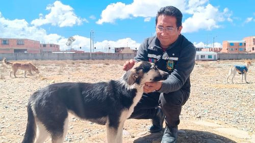 San Roque se celebra con una jornada para mascotas en El Alto