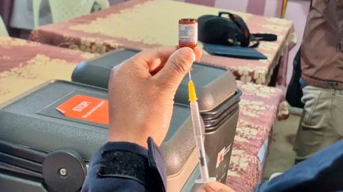Niños deben presentar carnet de vacunación para viajar en buses de La Paz
