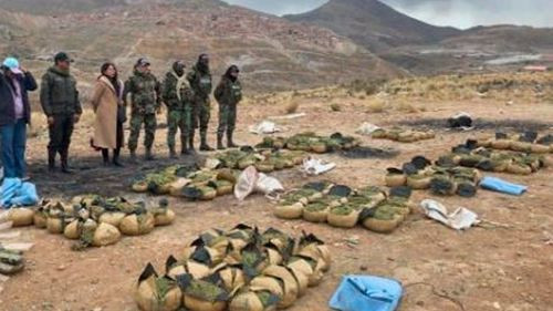 Felcn incinera más de 249 kilos de droga