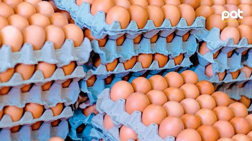 Huevos brasileños salvan mercado estadounidense tras alza de precios