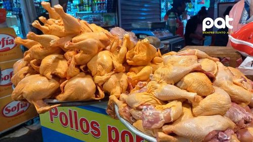 Gobierno exige estudio de costos a productores avícolas: Advierten sanciones por incumplimiento