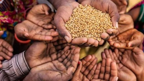 ONU advierte riesgo de hambruna en Bolivia por inflación y escasez de alimentos