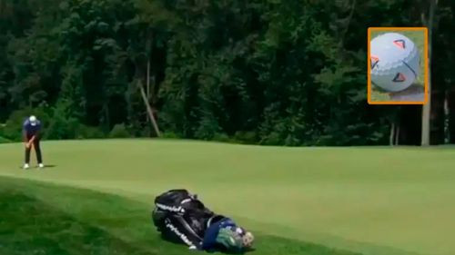 “La mosca millonaria” ayuda a golfista a ganar 2 millones