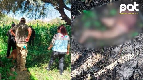 Conmoción en Cochabamba: Hallan restos de un bebé en la zona sur