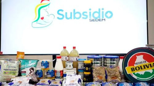 App oficial permite consultar el Subsidio Prenatal y de Lactancia desde el celular