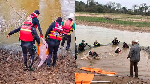 Rescatan a 27 bufeos atrapados por la sequía en el Río Grande
