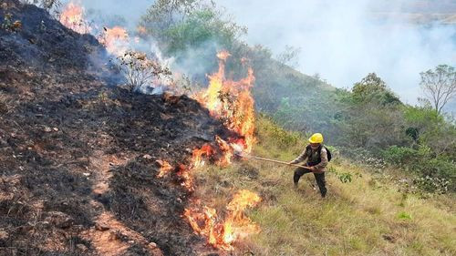 Arce afirma que incendios afectan principalmente pastizales de grandes empresarios y no pequeños productores