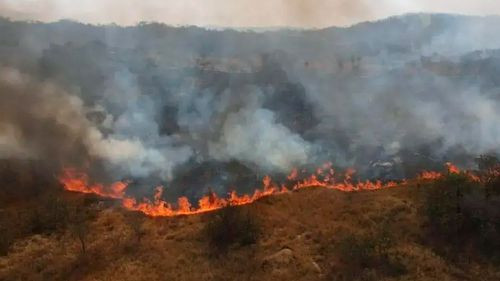 Bolivia enfrenta momento crítico con 4.160 focos de calor reportados