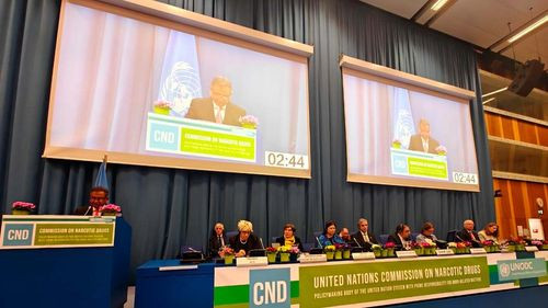 Bolivia expone en la ONU su estrategia antidrogas basada en cinco pilares