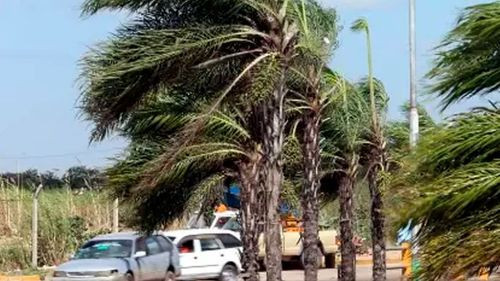 Imagen de Alerta naranja por fuertes vientos en Santa Cruz