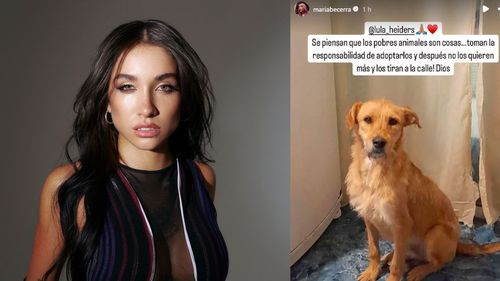 María Becerra alza la voz contra el abandono animal y pide adopción responsable