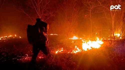 Santa Cruz concentra la mayoría de focos de calor reportados por el Gobierno