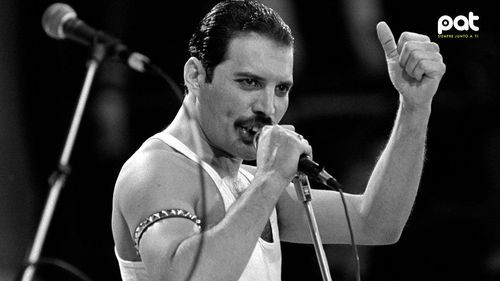 Freddie Mercury: aseguran que tuvo una hija y se realizó prueba de ADN