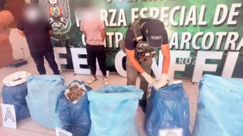 Felcn incauta más de 30 kilos de marihuana en encomienda en Santa Cruz