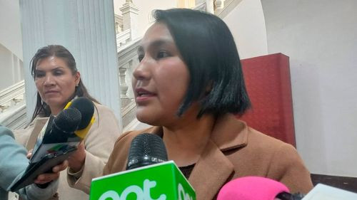 Imagen de Senadora ve posible crisis