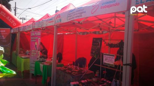 Feria en El Alto promueve medicina tradicional para combatir el resfriado